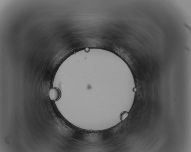 X0000092290058200710041436