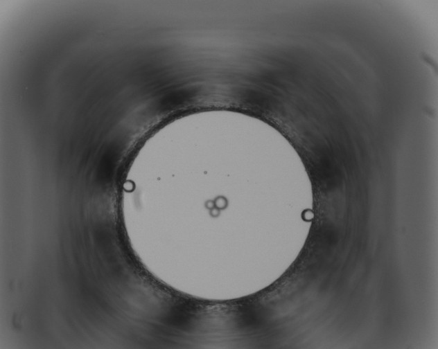 X0000092290064200710041437