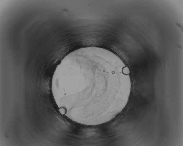 X0000092290065200710041437