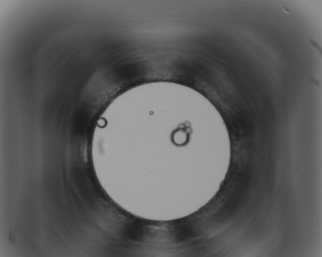 X0000092290068200710041437