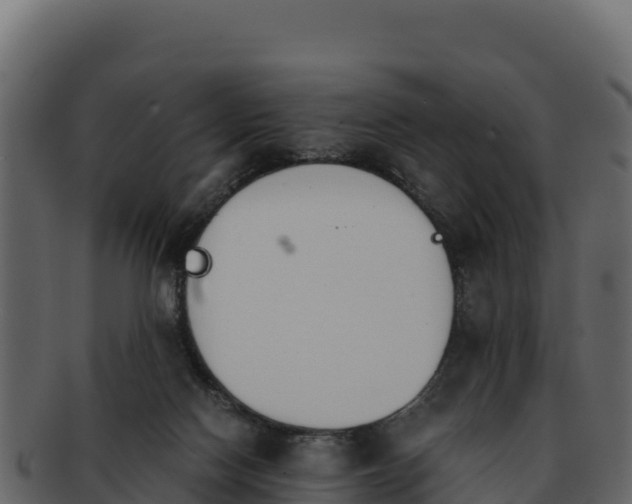 X0000092290074200710041437