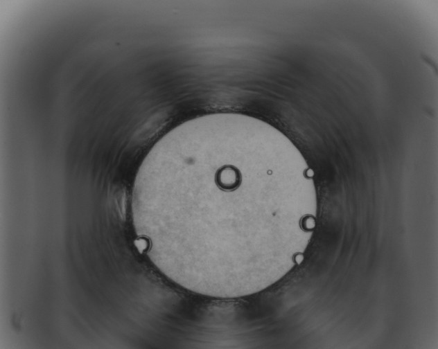 X0000092290076200710041437