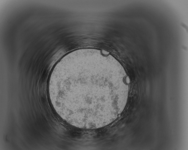 X0000092290099200710041436