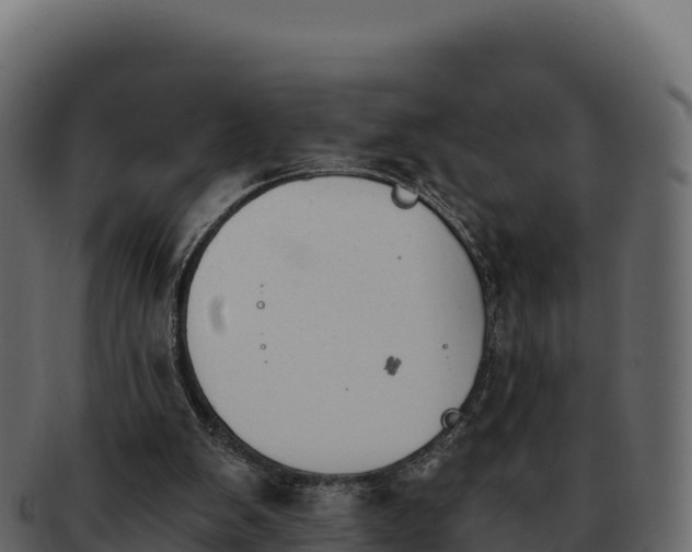 X0000092290103200710041436