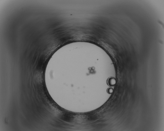 X0000092290105200710041436