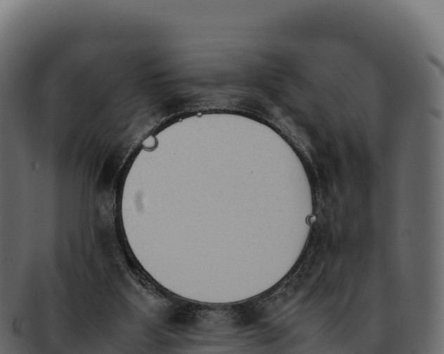 X0000092290107200710041436