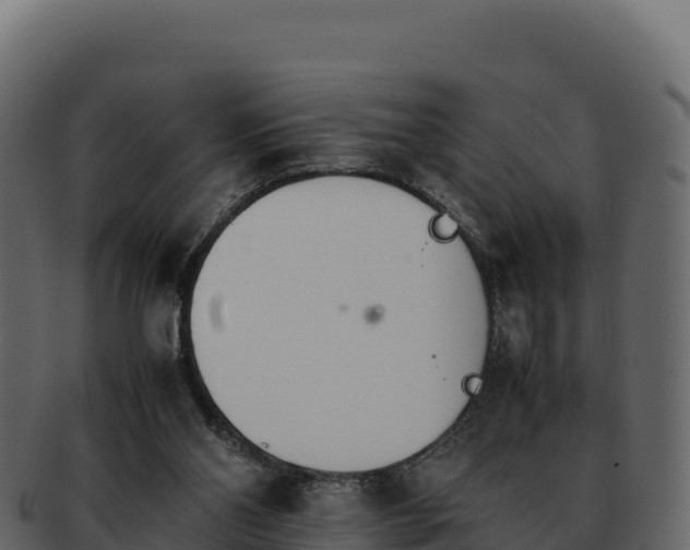 X0000092290110200710041436