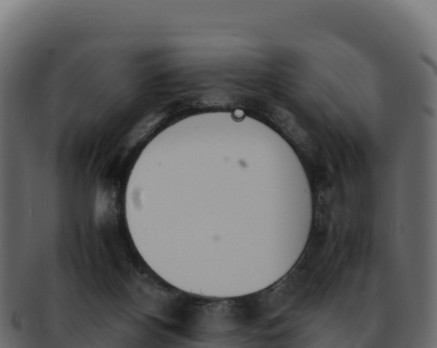 X0000092290116200710041436