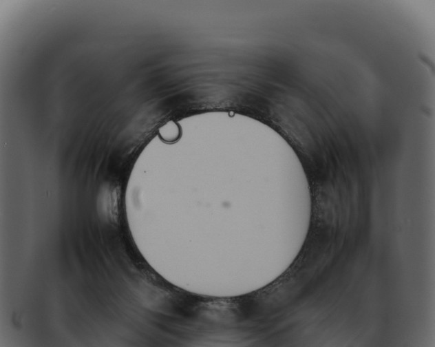 X0000092290118200710041436