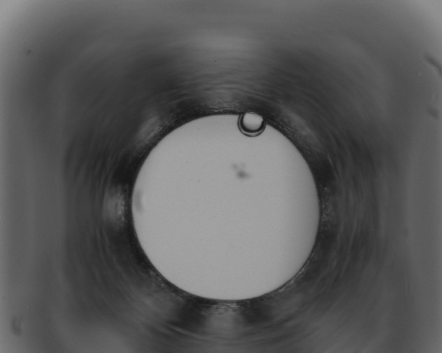 X0000092290124200710041436