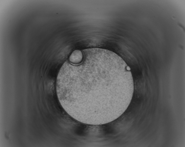 X0000092290127200710041436