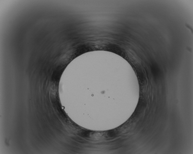 X0000092290129200710041436