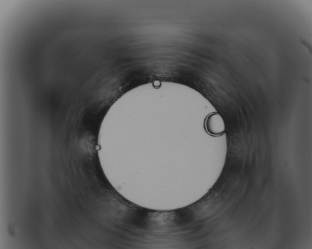 X0000092290135200710041436