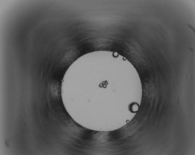 X0000092290138200710041436