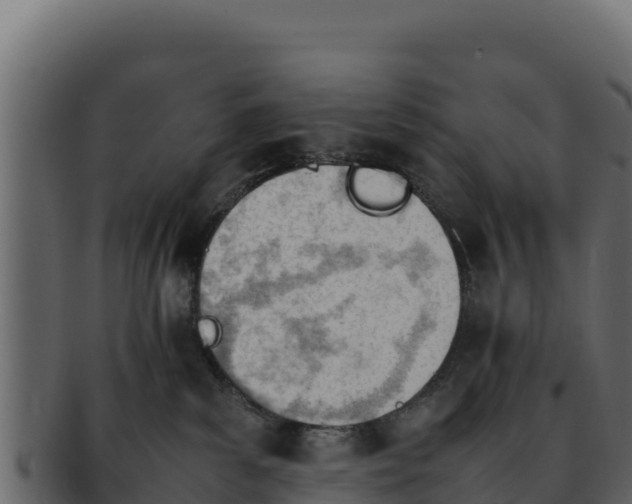 X0000092290139200710041436