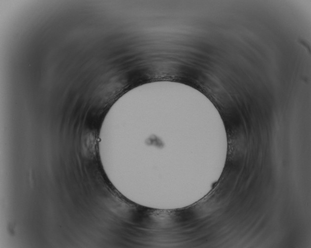 X0000092290142200710041436