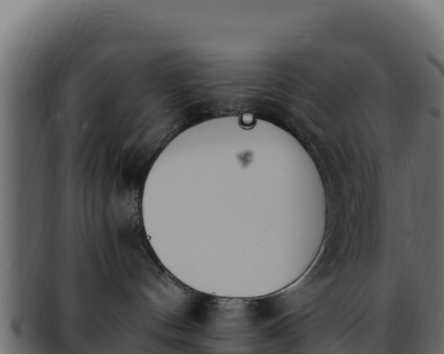 X0000092290144200710041436