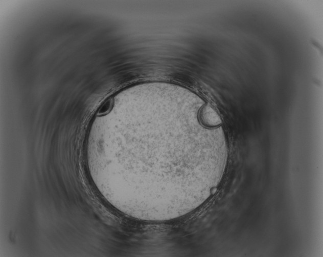 X0000092290145200710041435