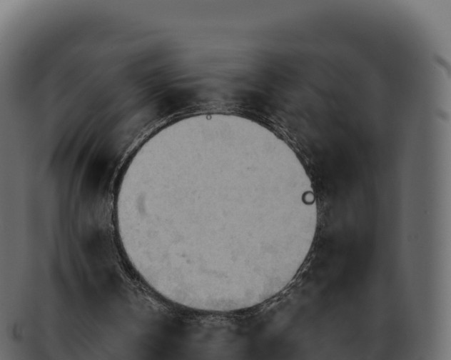 X0000092290146200710041435