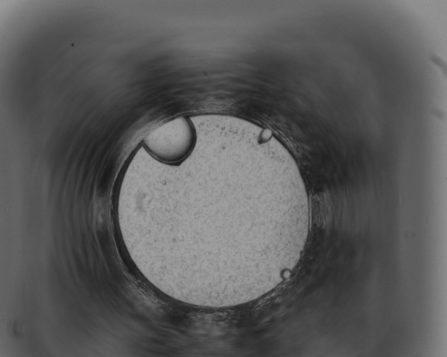 X0000092290147200710041435