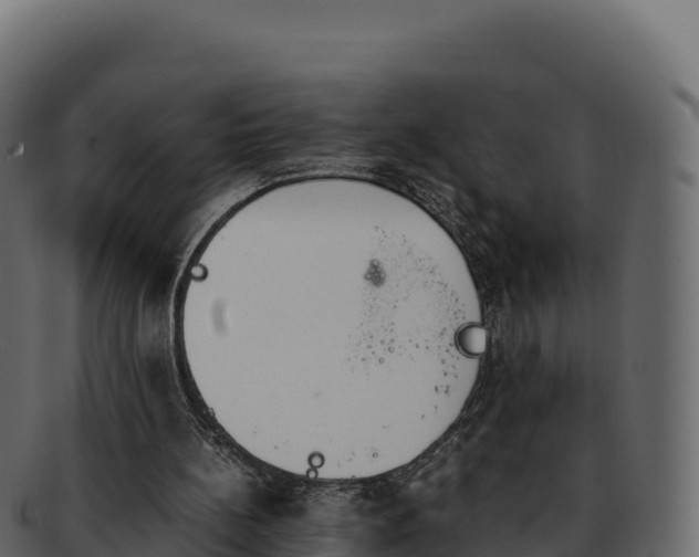 X0000092290148200710041435