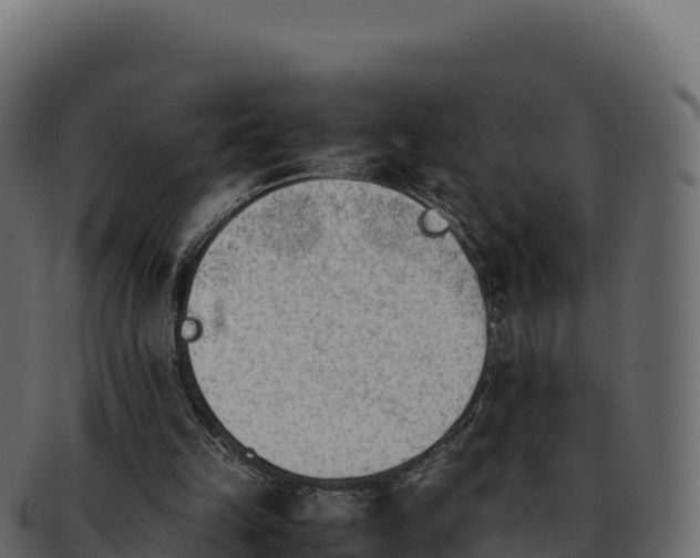 X0000092290149200710041435