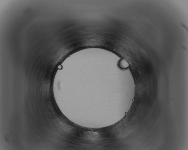 X0000092290159200710041435