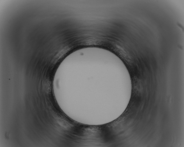 X0000092290164200710041435