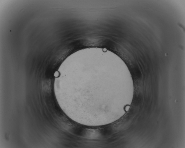 X0000092290167200710041436