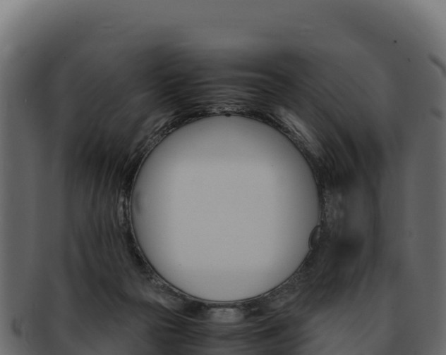 X0000092290169200710041436