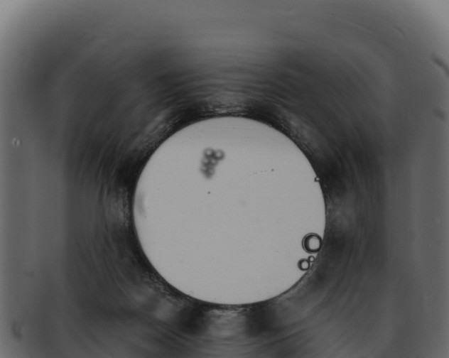 X0000092290170200710041436