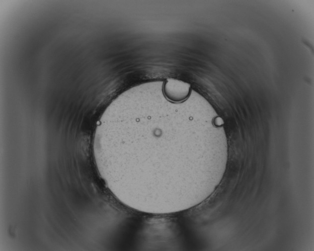 X0000092290171200710041436