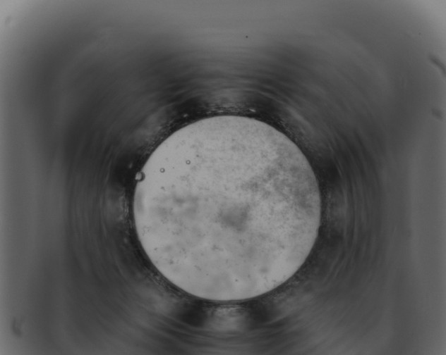 X0000092290173200710041436