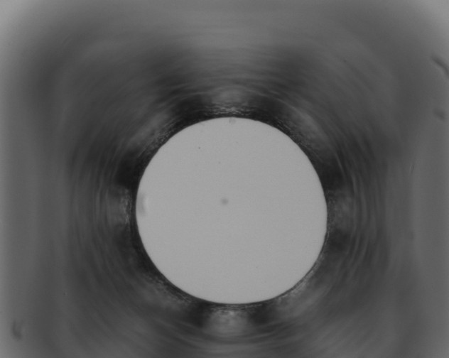 X0000092290174200710041436