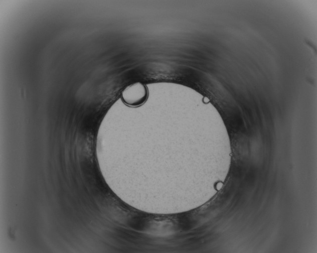 X0000092290175200710041436