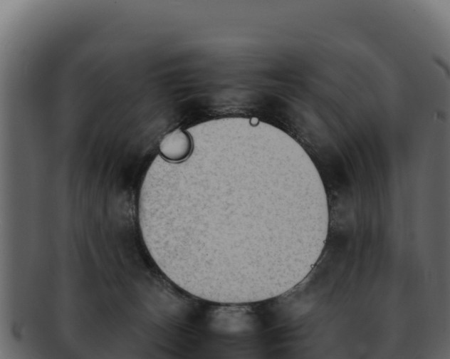 X0000092290179200710041436