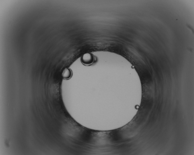 X0000092290184200710041436