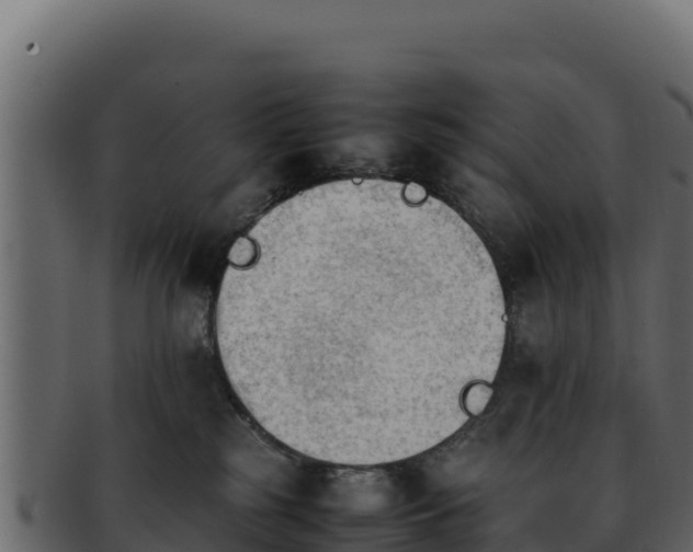 X0000092290185200710041436