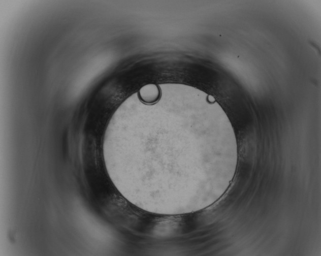 X0000092290191200710041436