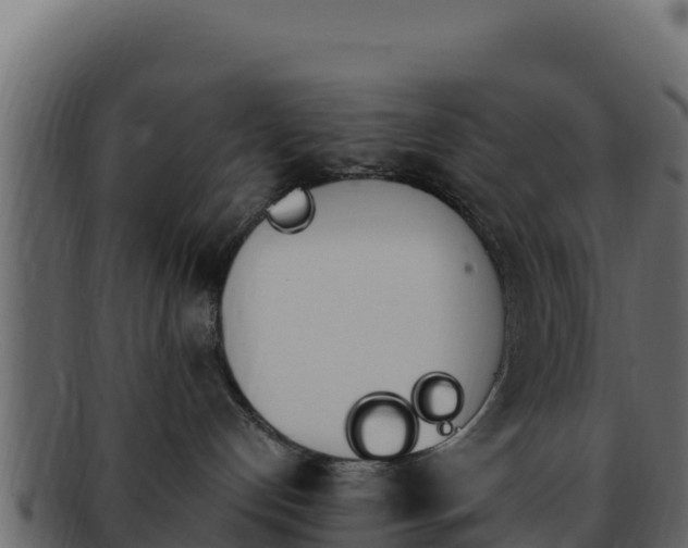 X0000092290192200710041436