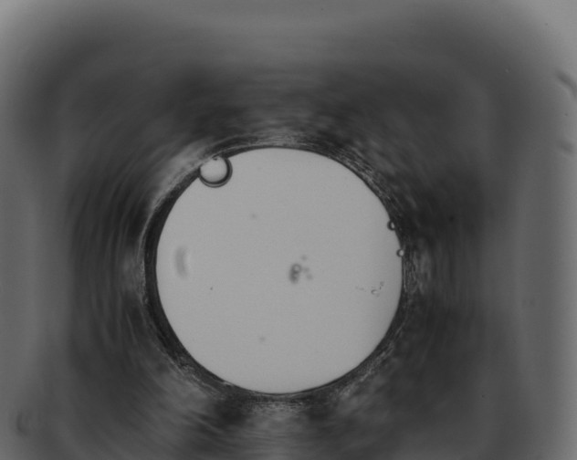 X0000092290198200710041435