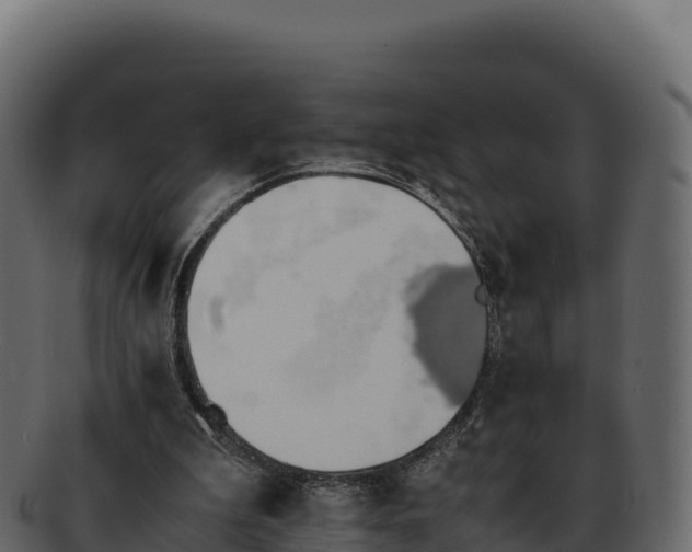 X0000092290199200710041435