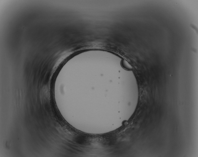 X0000092290200200710041435