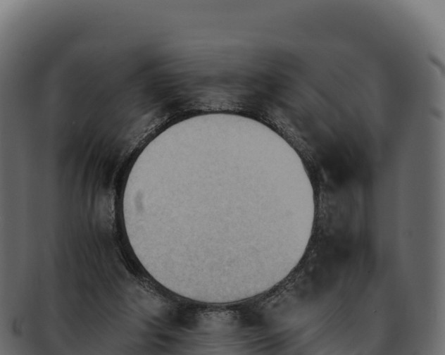 X0000092290202200710041435