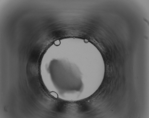 X0000092290203200710041435