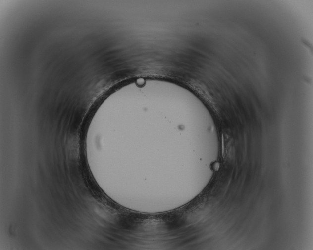 X0000092290204200710041435