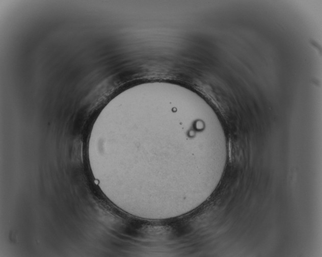 X0000092290205200710041435