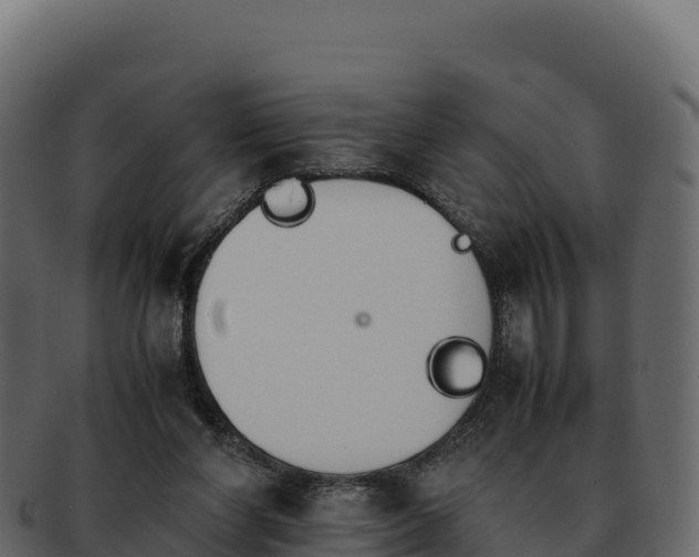 X0000092290206200710041435