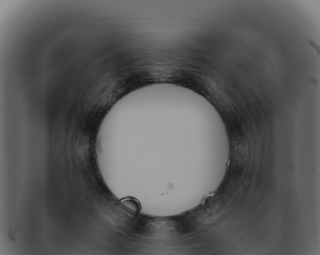 X0000092290221200710041435