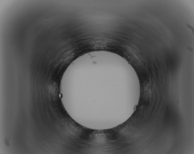 X0000092290228200710041435